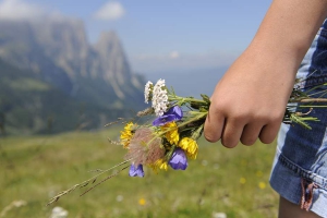 Frühling Seiser Alm 2